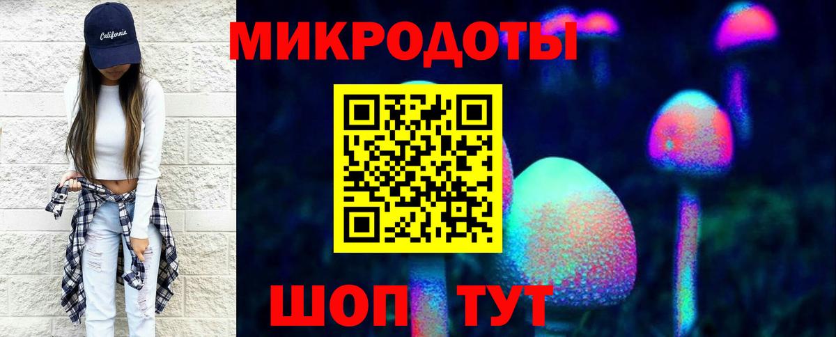 Псилоцибиновые грибы Psilocybe Ступино